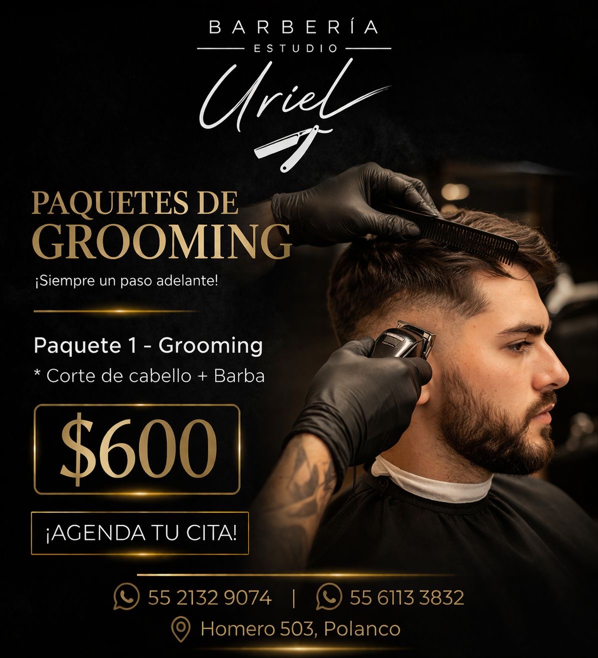 Paquete 1 Grooming